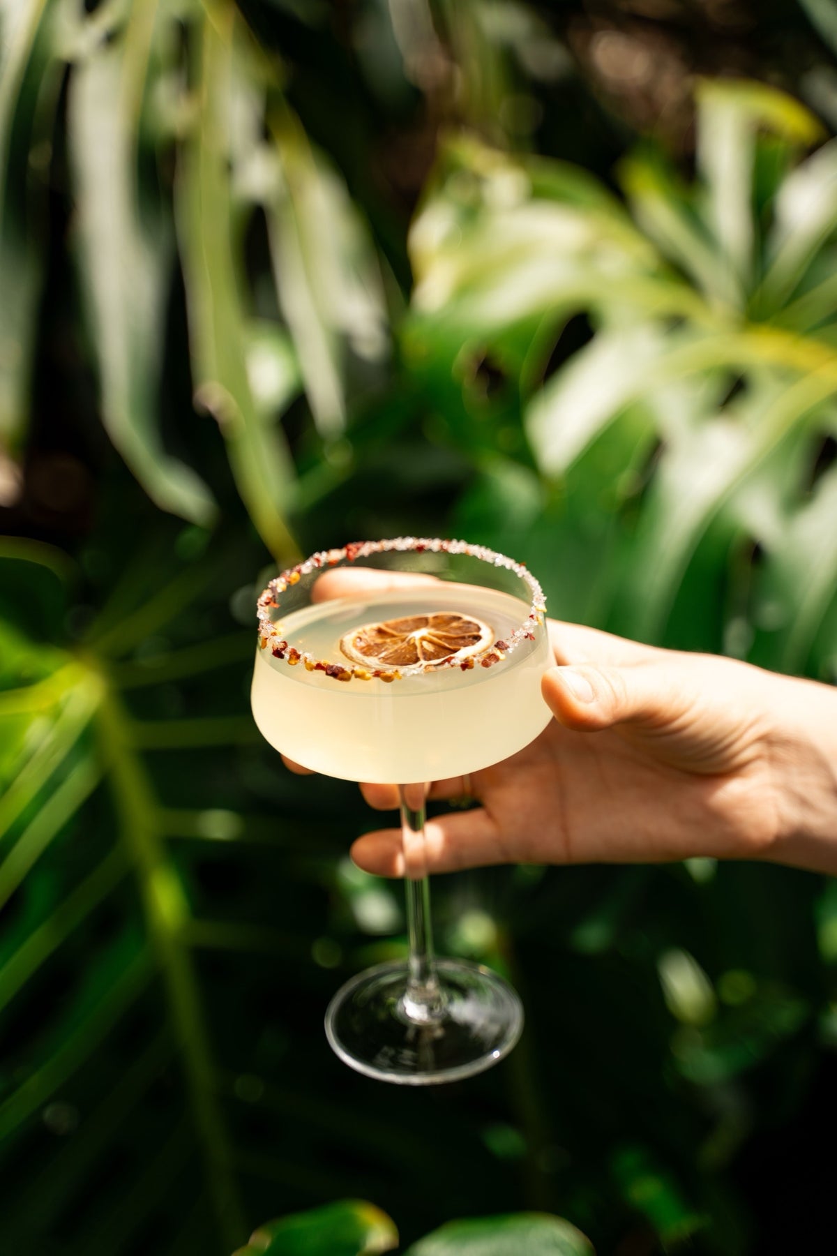 BATCHED Classic Margarita — image 4 | Premium Liquor NZ