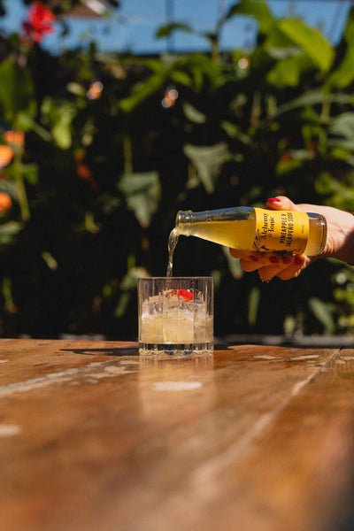 Alchemy & Tonic - Pineapple & Jalapeño Soda — image 3 | Premium Liquor NZ