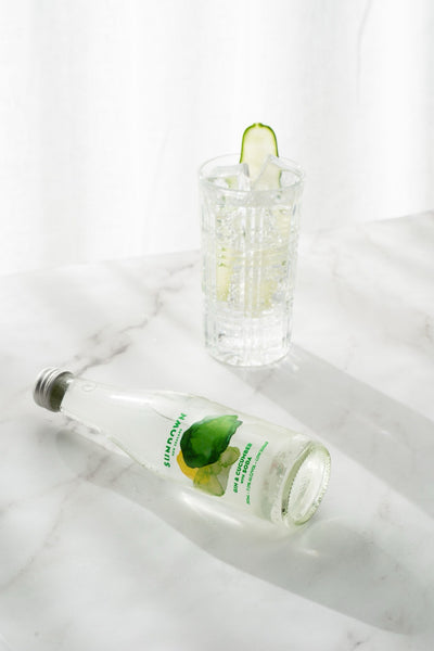Sundown Gin & Cucumber with Soda — image 4 | Premium Liquor NZ