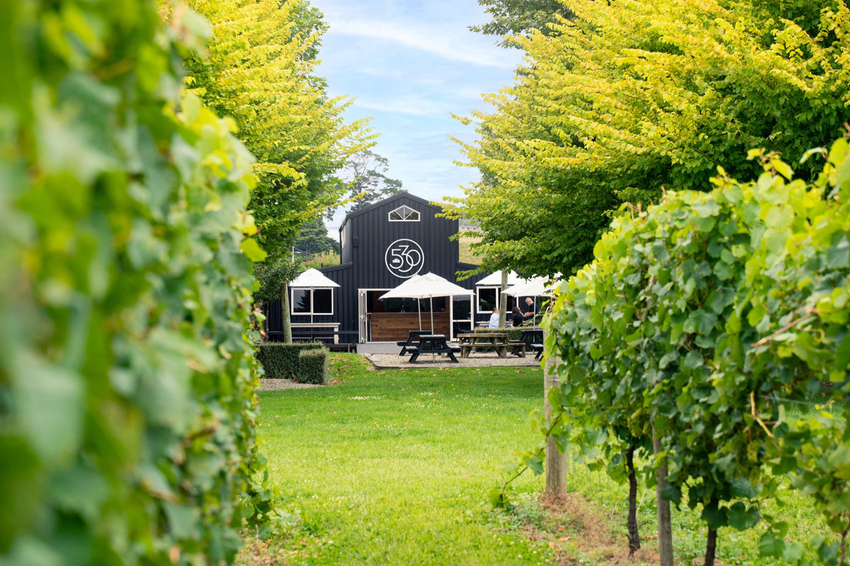 Shed530 | Premium Liquor NZ