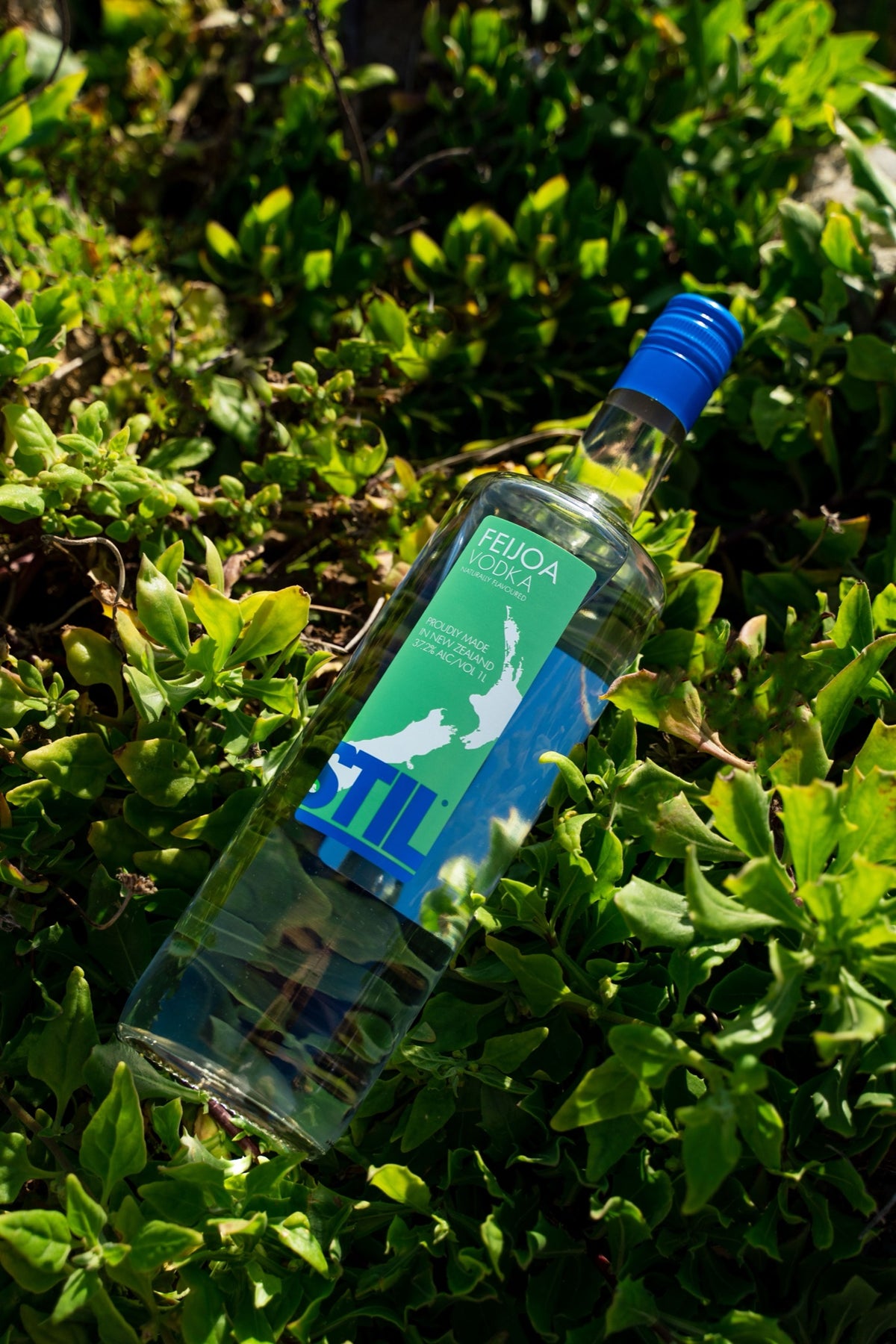 STIL Vodka - Feijoa — image 2 | Premium Liquor NZ