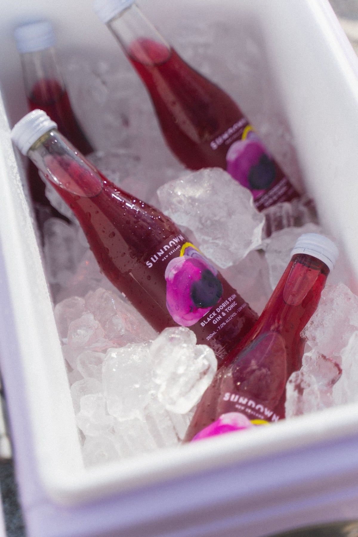 Sundown Black Doris Plum Gin & Tonic — image 2 | Premium Liquor NZ