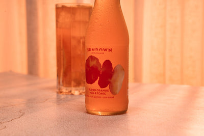 Sundown Blood Orange Gin & Tonic — image 3 | Premium Liquor NZ